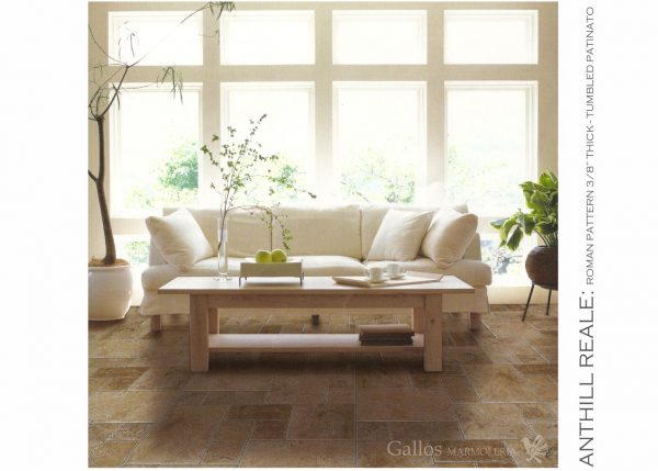 Anthill Reale Roman Pattern TP – RPD-46 – ! (Large)