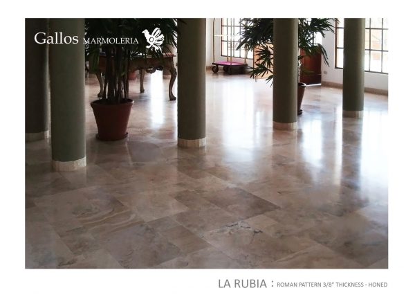La Rubia Roman Pattern Honed Interior Hotel (Large)